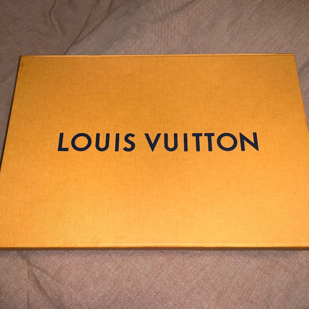Louis Vuitton Silk Wool Scarf
